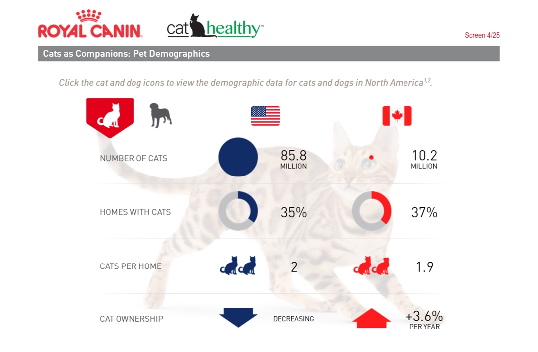 Royal Canin Infographic
